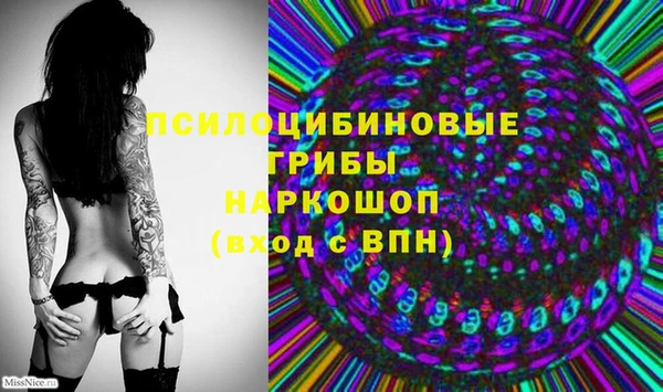 прущий лед Гусиноозёрск