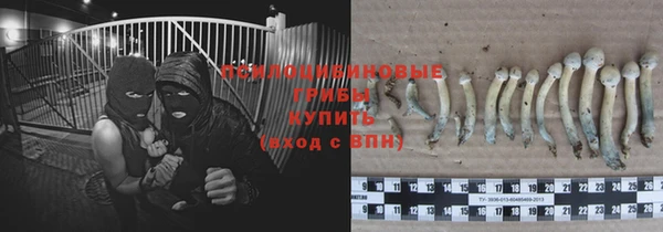 jwh Дмитриев